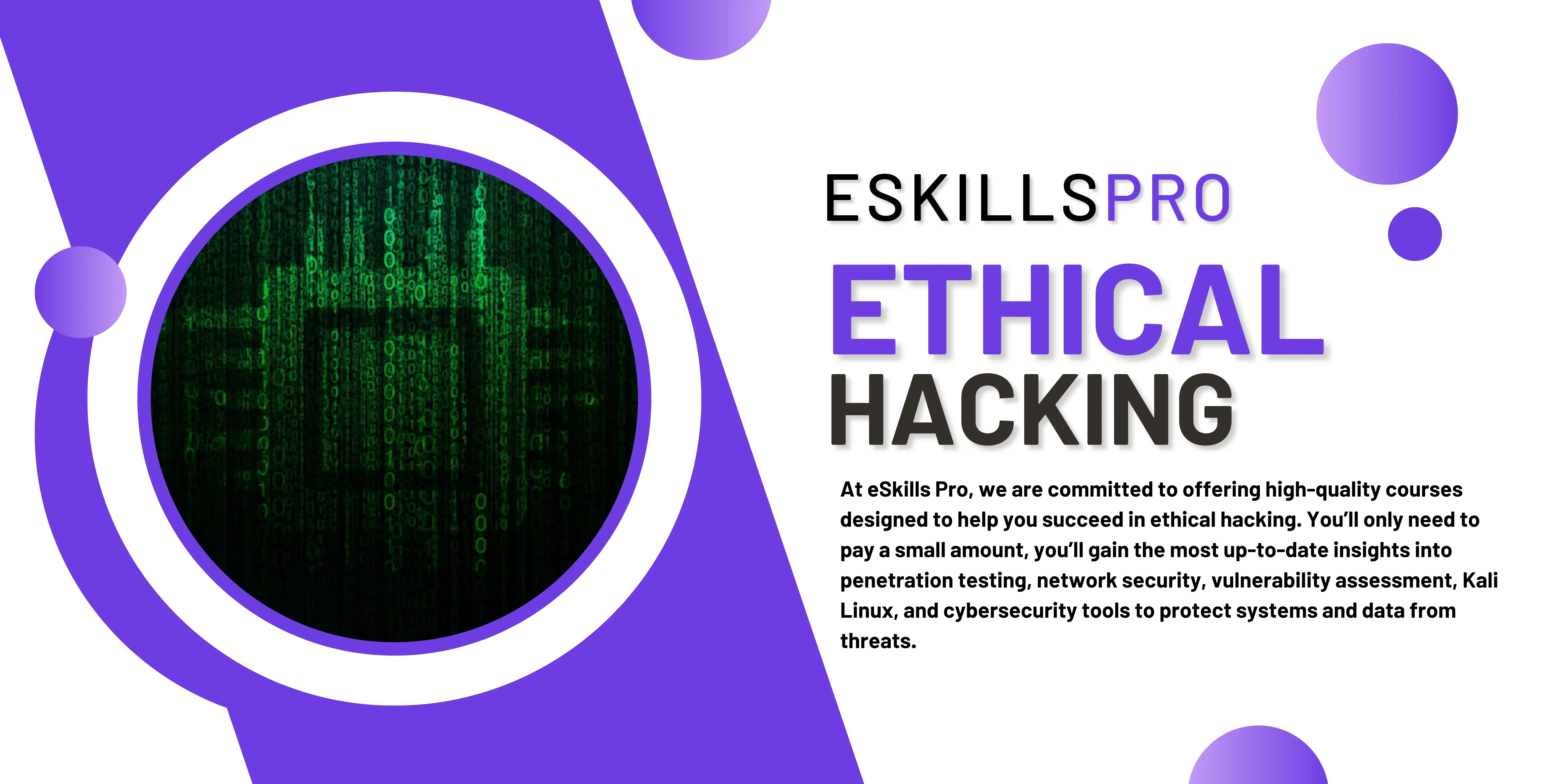 Ethical Hacking